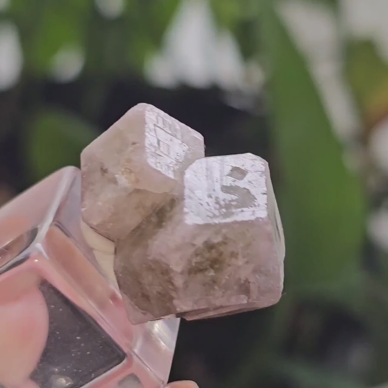Pink and Green Garnet, Sierra de Cruces, Mexico, Old Stock, Lustrous Terminated, Twinned Grossular Garnet, Baby Pink, Watermelon, Collector
