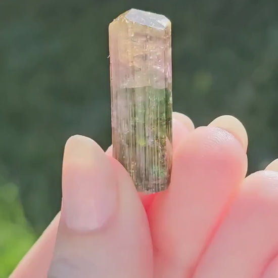 Tourmaline var. Elbaite, Taquaral Brazil, Rainbow Terminated Crystal, Rare Raw October Birthstone, Teal Green Yellow and Pink Gemstone