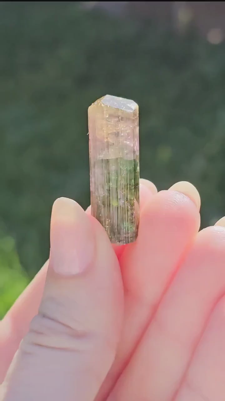 Tourmaline var. Elbaite, Taquaral Brazil, Rainbow Terminated Crystal, Rare Raw October Birthstone, Teal Green Yellow and Pink Gemstone