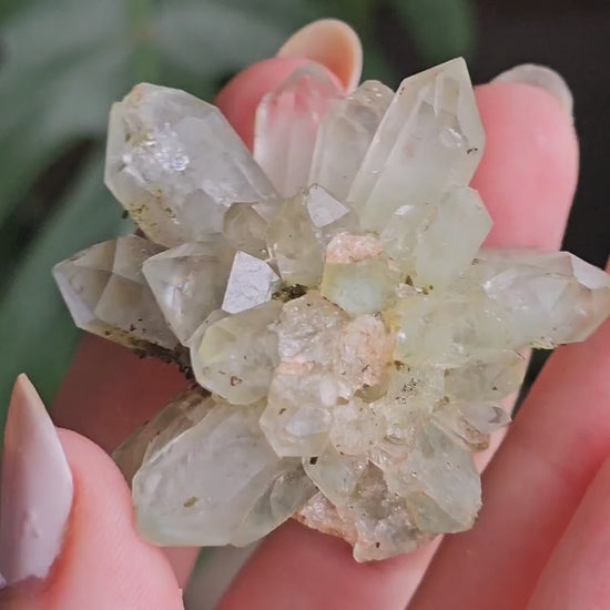 Flowering Quartz Specimen, Phantom Quartz Crystals from Turkey New Find <100