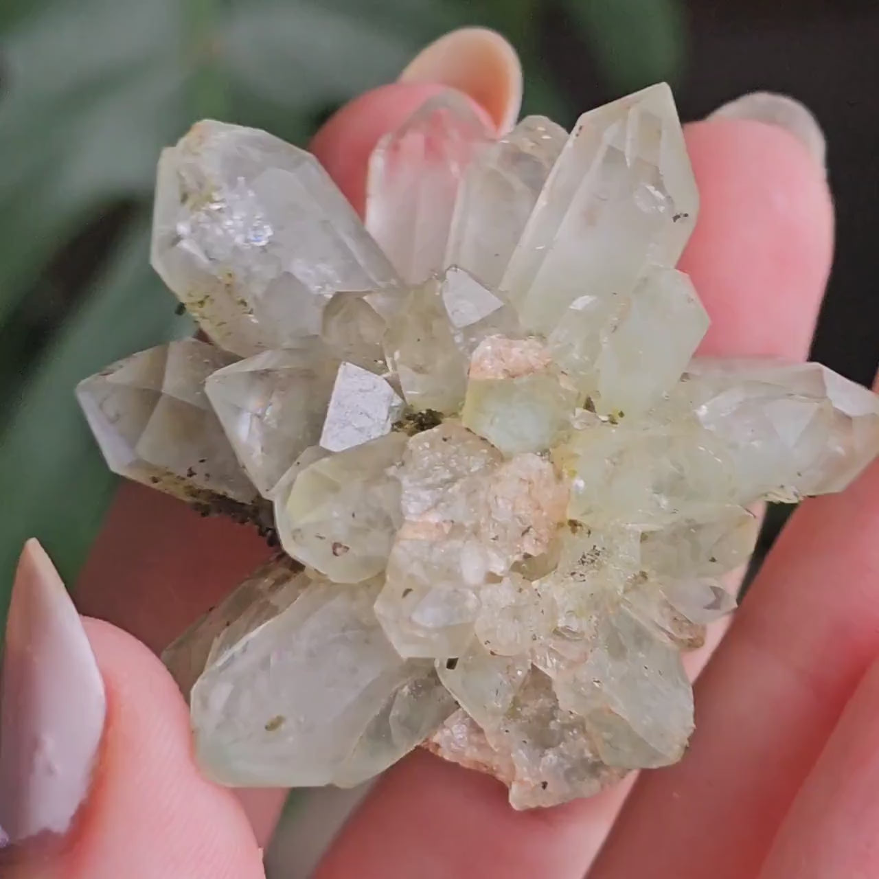 Flowering Quartz Specimen, Phantom Quartz Crystals from Turkey New Find <100