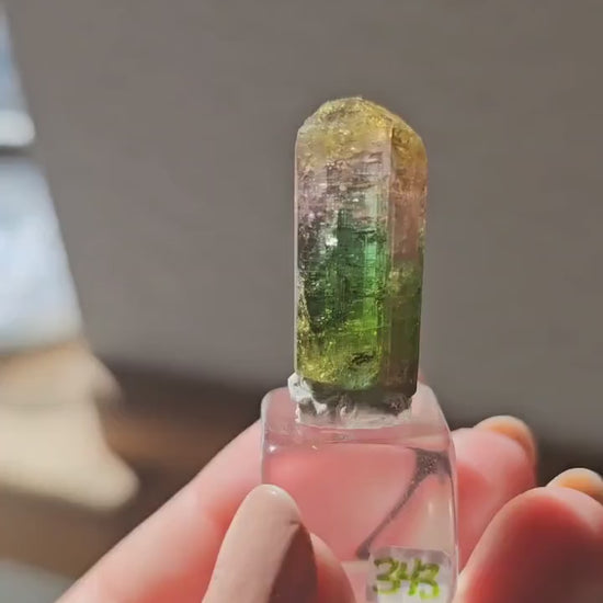 Tourmaline var. Elbaite, Taquaral Brazil, Rainbow Terminated Crystal