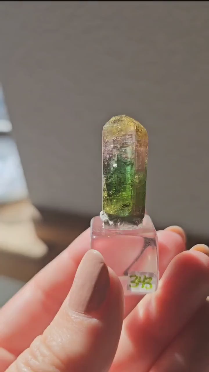 Tourmaline var. Elbaite, Taquaral Brazil, Rainbow Terminated Crystal