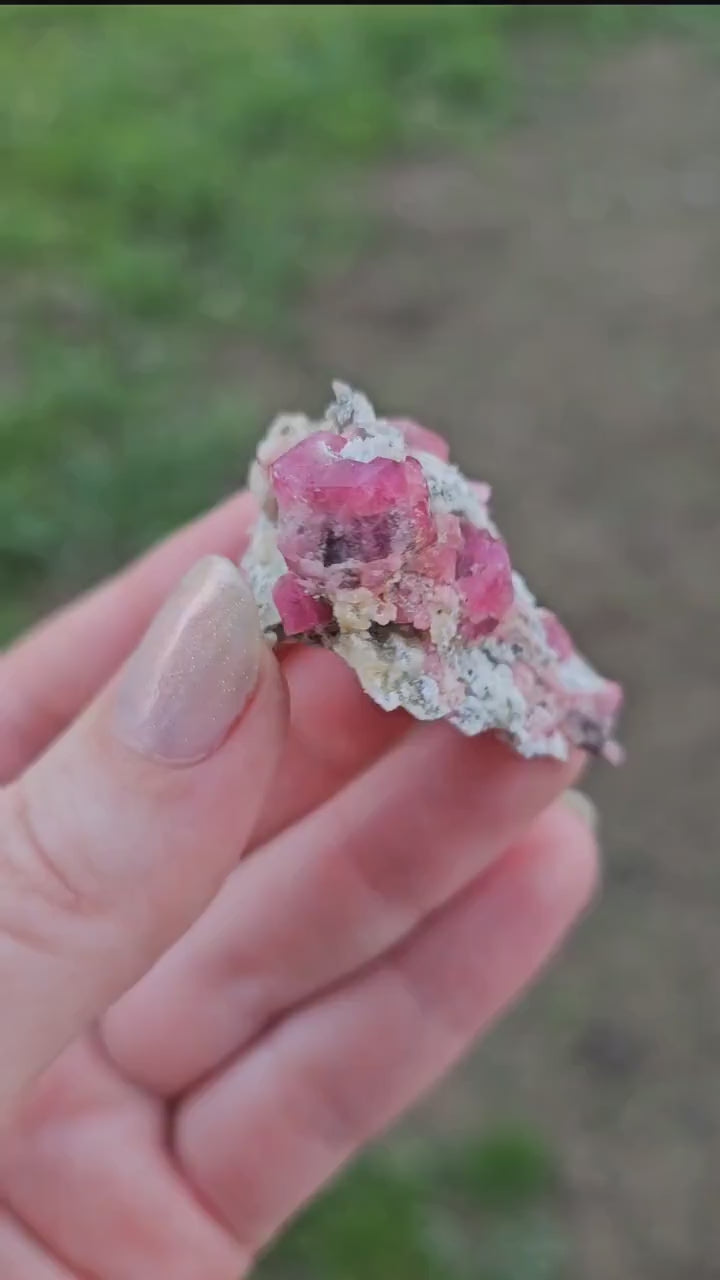 Raspberry Garnet on Matrix from Coahuila, Mexico, New Find 2024 <100
