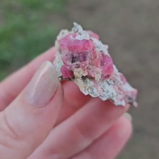 Raspberry Garnet on Matrix from Coahuila, Mexico, New Find 2024 <100