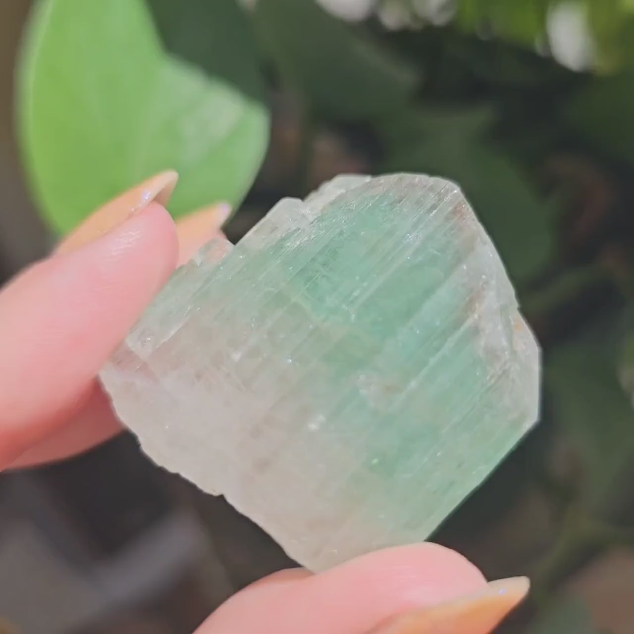 Large Tourmaline, Paprok Mine, 49g, Old Stock