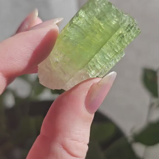 Green Tourmaline, 16.1g Large Specimen Grade Apple Green and White Achroic Elbaite, Tabular Tabby Crystal, Cruziero Brazil Collector Gem