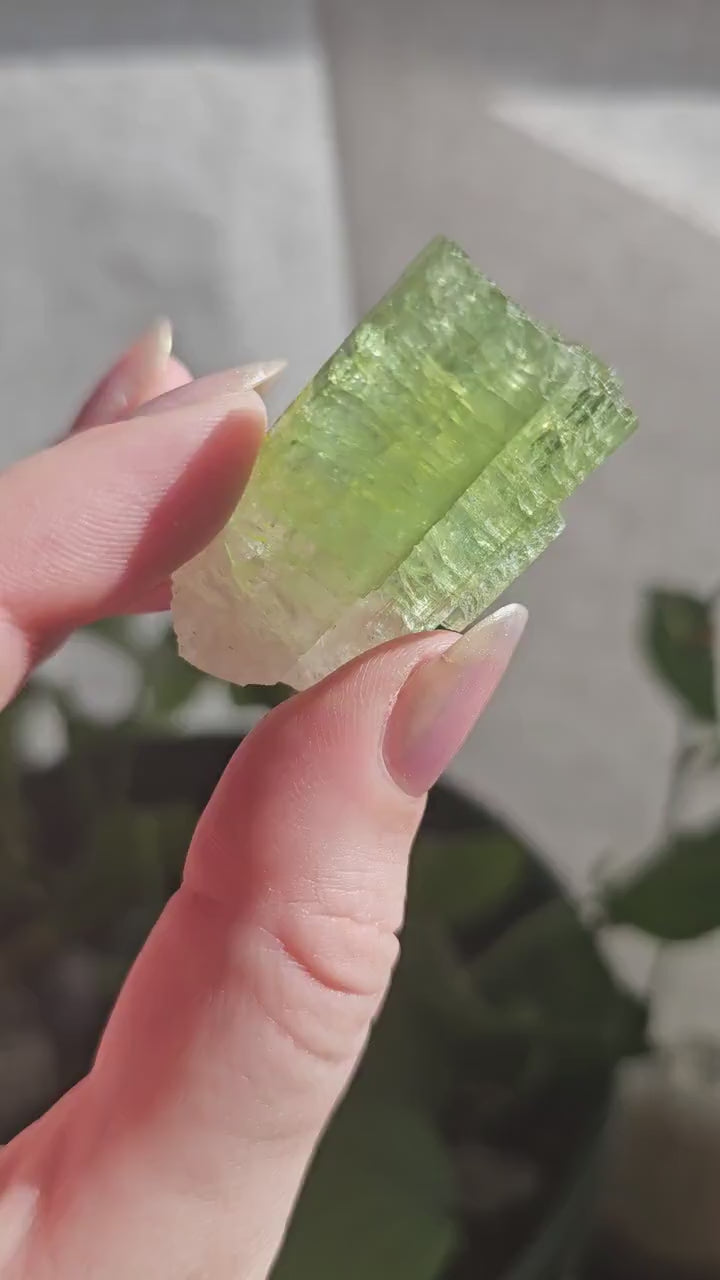 Green Tourmaline, 16.1g Large Specimen Grade Apple Green and White Achroic Elbaite, Tabular Tabby Crystal, Cruziero Brazil Collector Gem
