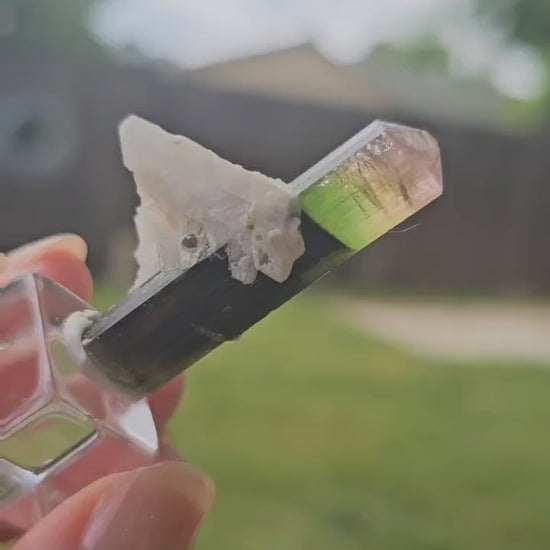 RESERVED for Bernhard Tourmaline Crystal, Stak Nala, Raw Elbaite, Double Terminated, with Matrix, Pink Green and Purple, Parti Colored