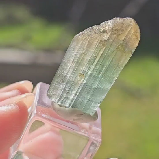 6.8g Tourmaline Crystal from Brazil, Blue Indicolite w Yellow Cap, Tabby Terminated Rare Bicolor, Raw Tabular Elbaite, Collector Gemstone