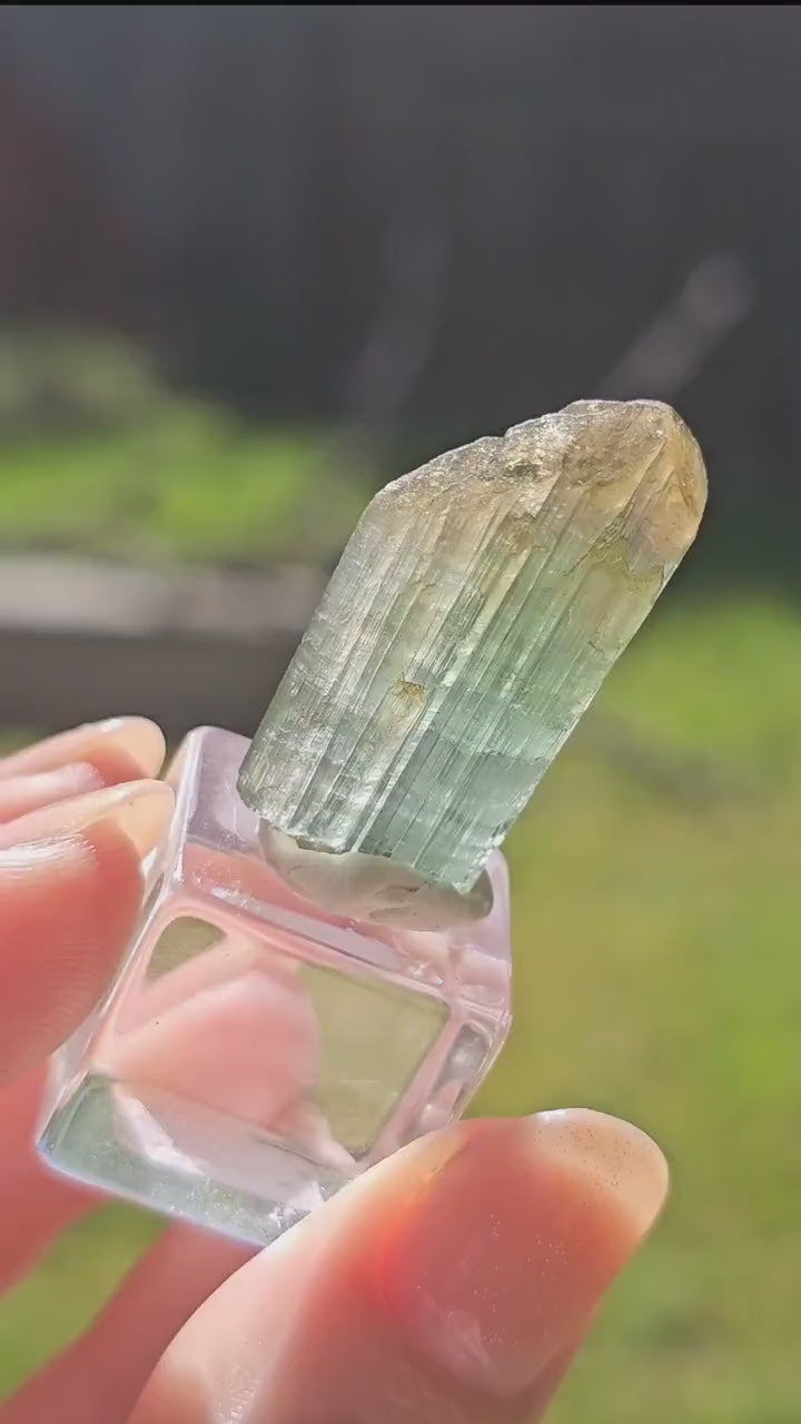 6.8g Tourmaline Crystal from Brazil, Blue Indicolite w Yellow Cap, Tabby Terminated Rare Bicolor, Raw Tabular Elbaite, Collector Gemstone