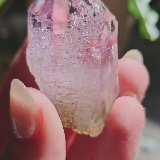 Large Vera Cruz Amethyst AAA Crystal, Rare Raw Natural Stone from Mexico | 32g Terminated High Grade Collector Specimen, February Gift