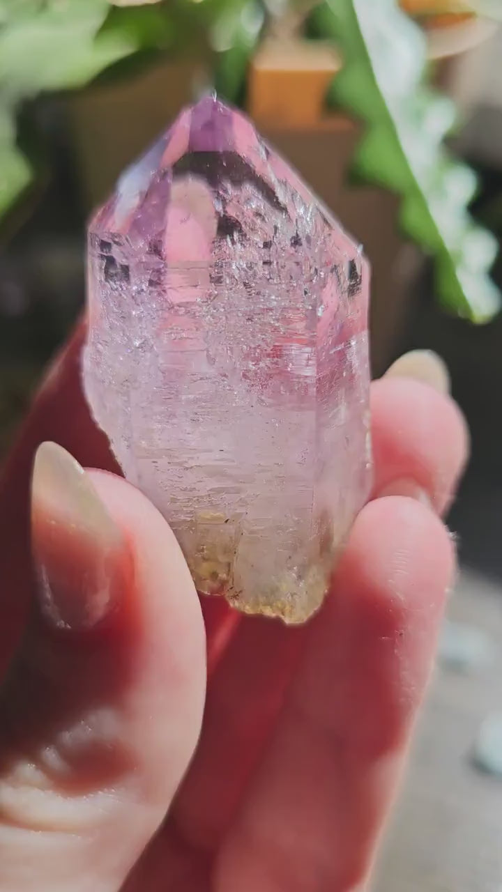 Large Vera Cruz Amethyst AAA Crystal, Rare Raw Natural Stone from Mexico | 32g Terminated High Grade Collector Specimen, February Gift