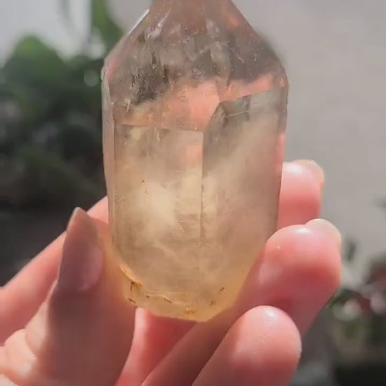 Raw Citrine, Hand Collected in California, Hallelujah Junction, Near Tahoe, Ethical Directly Sourced, High Grade, Local Quartz Gem