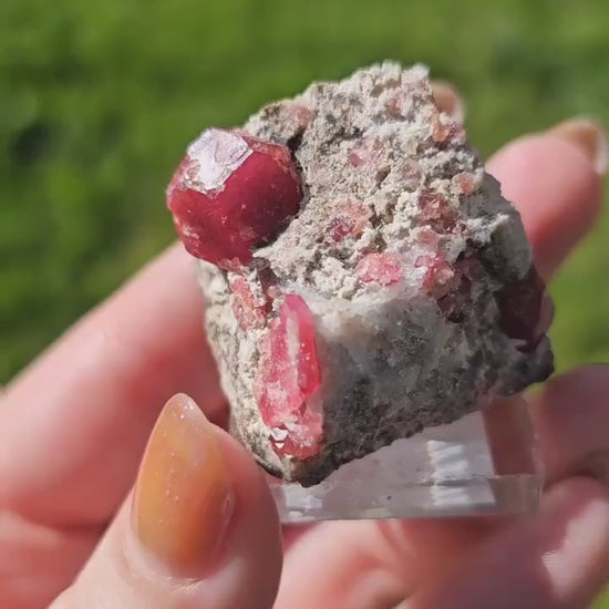 Raspberry Garnet on Matrix, Rare Raw Old Stock Mineral Specimen, Sierra de las Cruces Mexico, Local High End Rosalite, Deep Lustrous & Gemmy