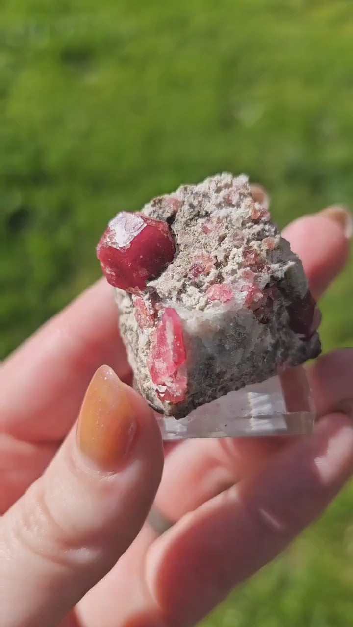 Raspberry Garnet on Matrix, Rare Raw Old Stock Mineral Specimen, Sierra de las Cruces Mexico, Local High End Rosalite, Deep Lustrous & Gemmy