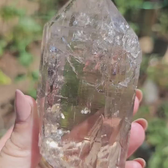 Clear Himalayan Quartz Point with Chlorite ~ New Find High Quality Large Single Point