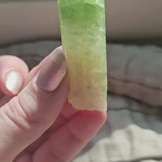 Green Tourmaline, 18g Large Specimen Grade, Apple Green, Yellow and Pink Elbaite, Tabular Tabby Crystal, Cruziero Brazil, Collector Gem