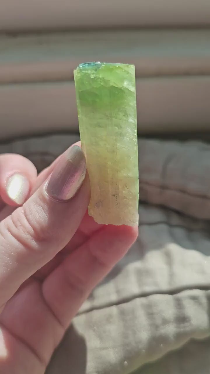 Green Tourmaline, 18g Large Specimen Grade, Apple Green, Yellow and Pink Elbaite, Tabular Tabby Crystal, Cruziero Brazil, Collector Gem
