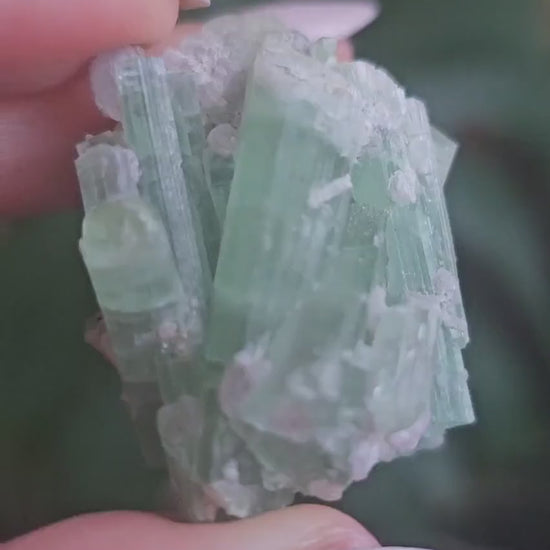 Seafoam Tourmaline Crystal Cluster, Lepidolite Sparkles, Laghman Gem