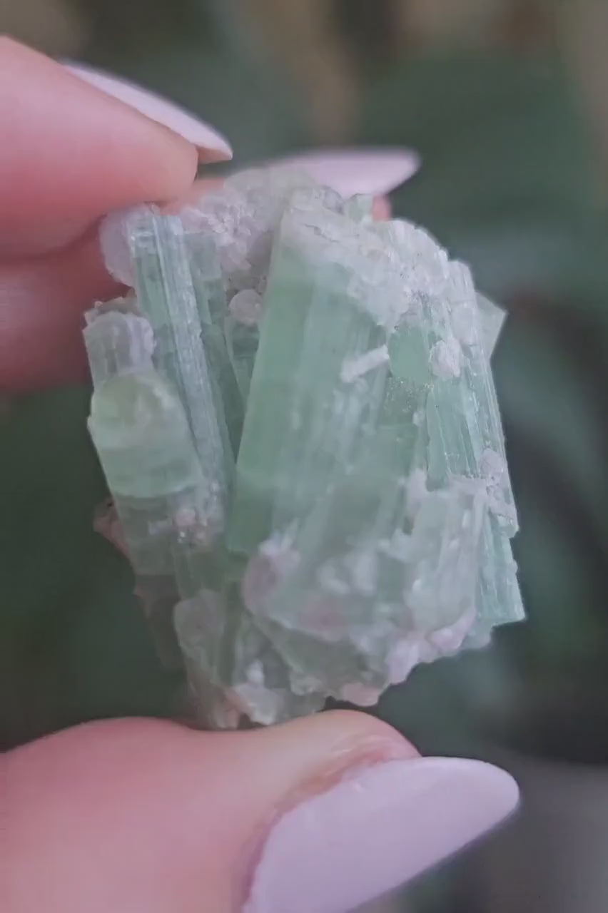 Seafoam Tourmaline Crystal Cluster, Lepidolite Sparkles, Laghman Gem