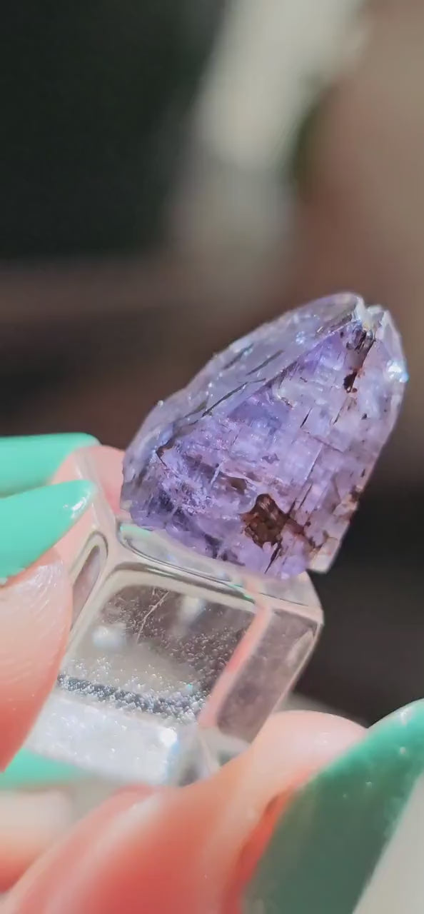 10.2ct Tanzanite Crystal, Unheated Natural Terminated Gemstone, December Birthstone, Raw Purple Blue Zoisite, Merelani Hills, Pleocroism