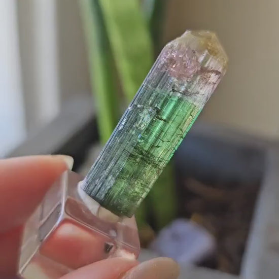 Tourmaline var. Elbaite, Taquaral Brazil, Rainbow Terminated Crystal