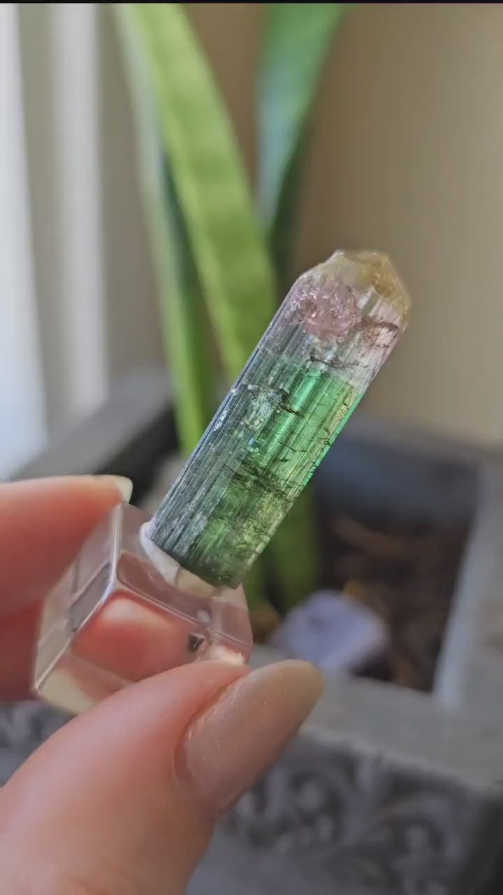 Tourmaline var. Elbaite, Taquaral Brazil, Rainbow Terminated Crystal