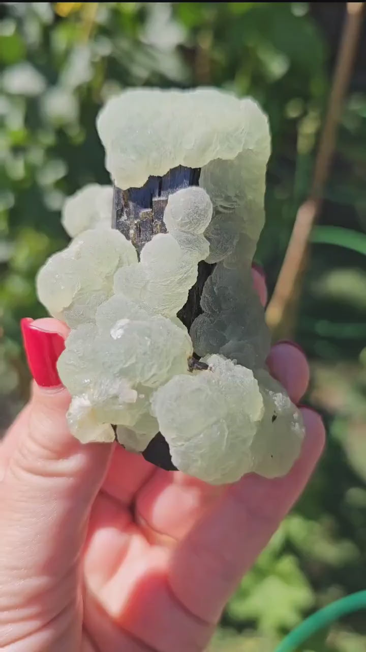 Prehnite over Epidote Raw Rare Epimorph Cabinet Crystal, Museum Grade