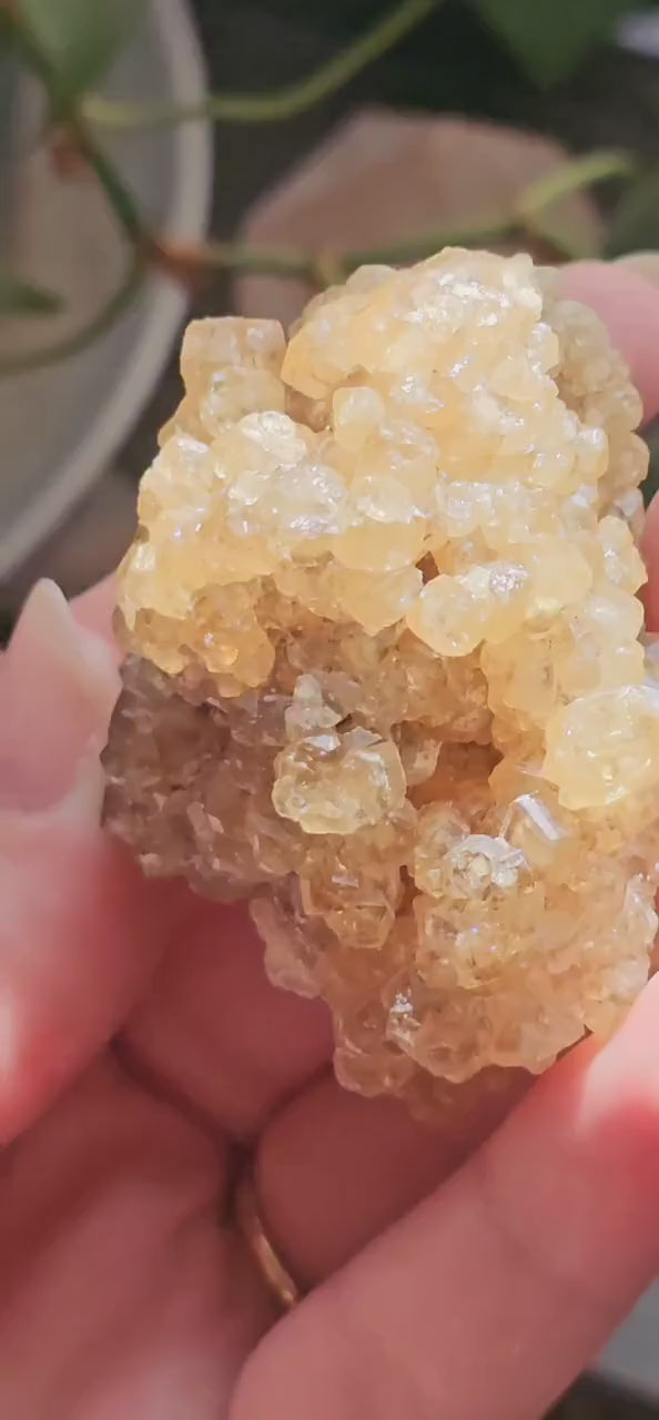 Honey Garnet Cluster, XL Yellow Grossular, Old Stock from Hebei China