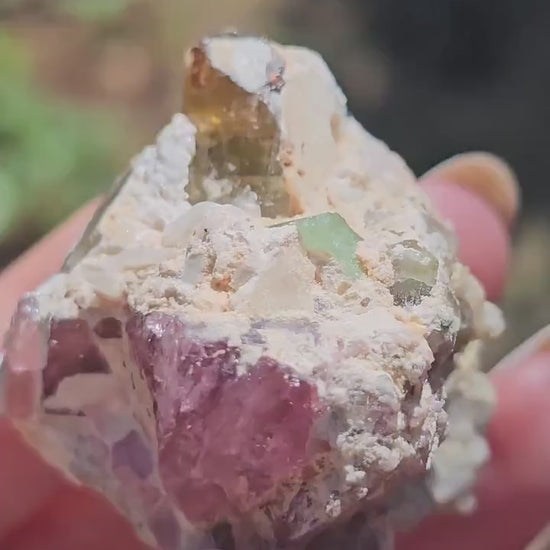 Parti-colored Tourmaline from the California Himalaya Mine ~ Pink, Teal Green and Orange Elbaite on Matrix, Source Traced 90s Material
