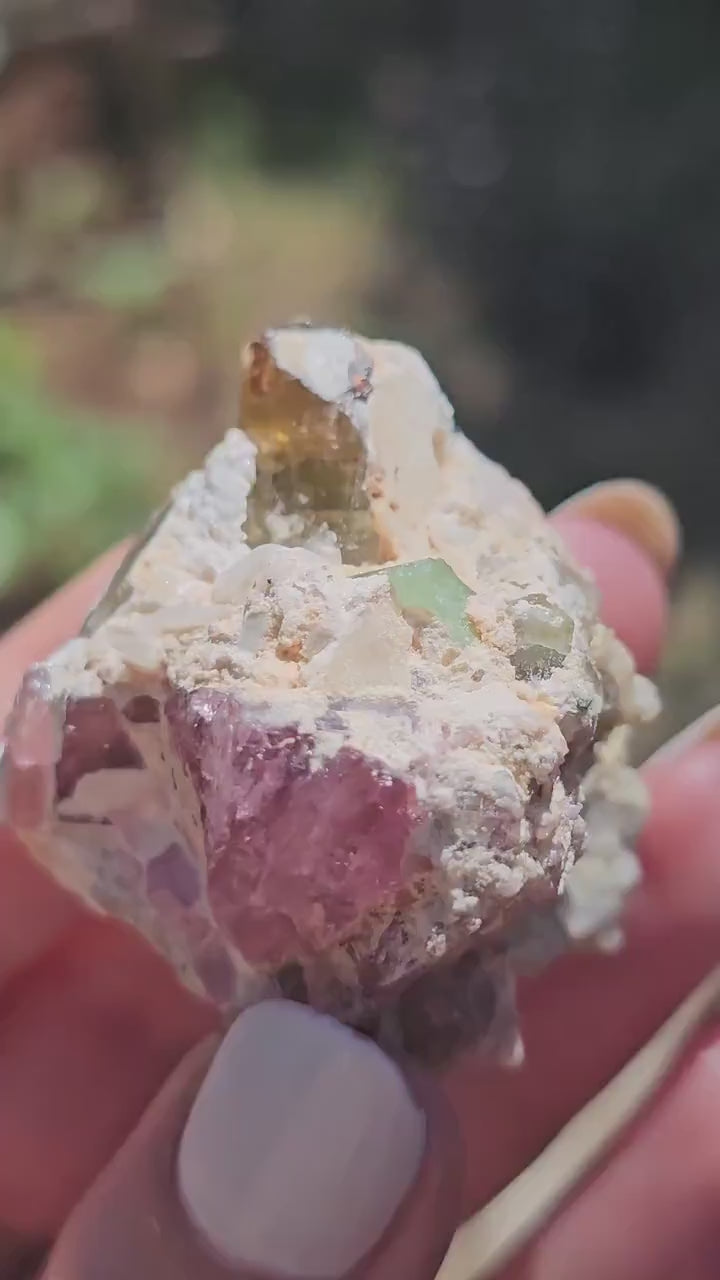 Parti-colored Tourmaline from the California Himalaya Mine ~ Pink, Teal Green and Orange Elbaite on Matrix, Source Traced 90s Material