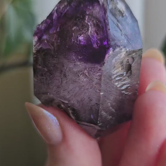 Shangaan Amethyst, New Find, Rare Raw Crystal, Saturated Purple, Phantom Quartz, Smokey Amethyst Scepter, Hematite Inclusions, 62g