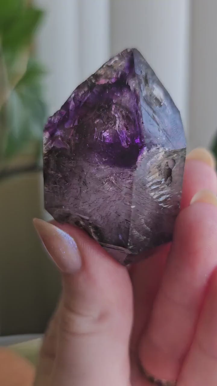 Shangaan Amethyst, New Find, Rare Raw Crystal, Saturated Purple, Phantom Quartz, Smokey Amethyst Scepter, Hematite Inclusions, 62g