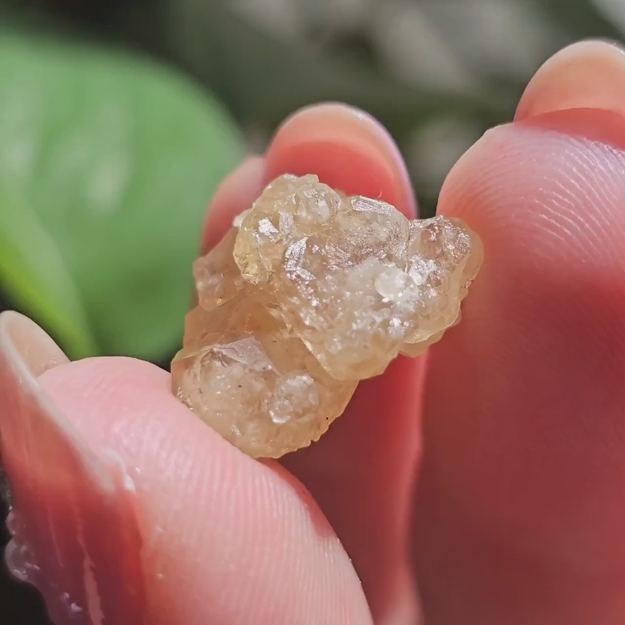 Gemmy Honey Garnet 15.3ct, Rare Hebei China Hessonite <100