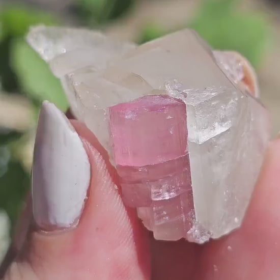 California Pink Tourmaline on Lustrous Terminated Quartz Matrix from the California Himalaya Mine, Source Traced 90s Material