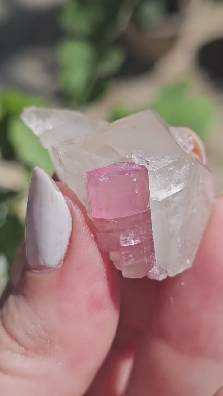 California Pink Tourmaline on Lustrous Terminated Quartz Matrix from the California Himalaya Mine, Source Traced 90s Material