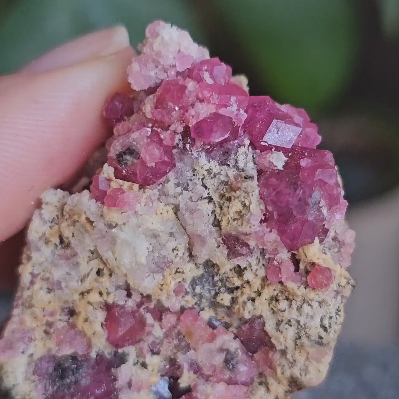 Raspberry Garnets on Matrix, High Quality, Raw Rare, Terminated Hot Pink Natural Crystals on White Matrix, Ruby Color, Old Stock, Mexico