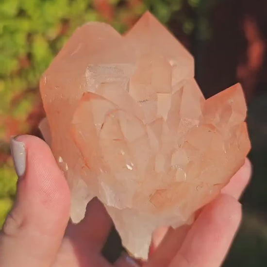 Chunky Peach Pink Elestial Quartz Specimen: Scepter, Multi Terminated, Raw Rough Quartz