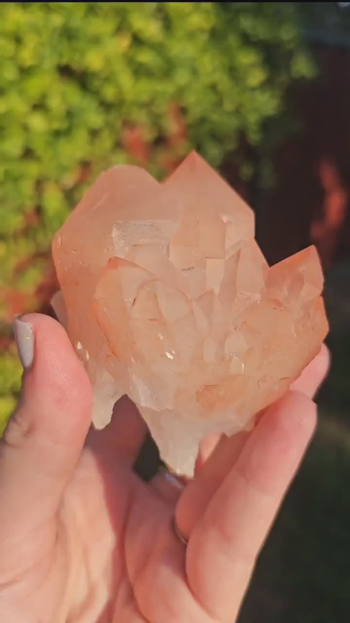 Chunky Peach Pink Elestial Quartz Specimen: Scepter, Multi Terminated, Raw Rough Quartz