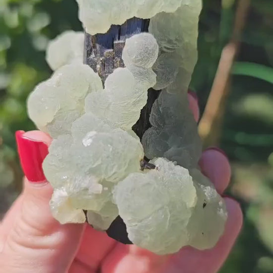 Prehnite over Epidote Raw Rare Epimorph Cabinet Crystal, Museum Grade