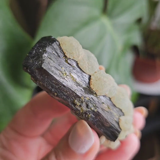 Terminated Large Deep Green Natural Epidote Crystal with Botryoidal Prehnite