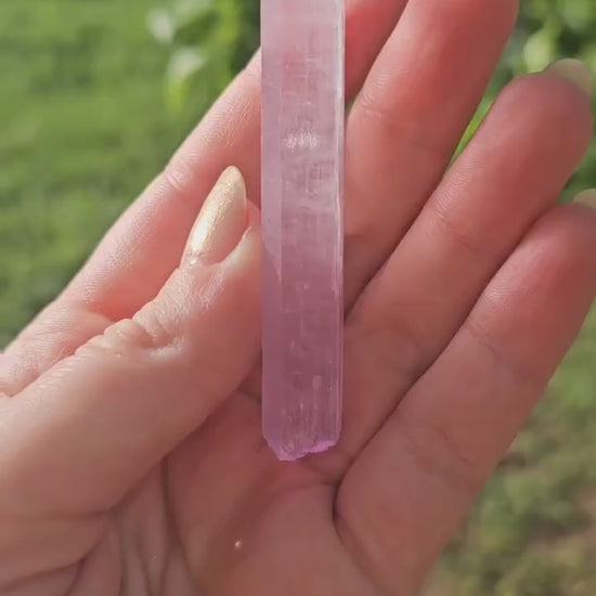 AAA Kunzite Crystal: Hot Pink Spodumene Specimen, Afghanistan