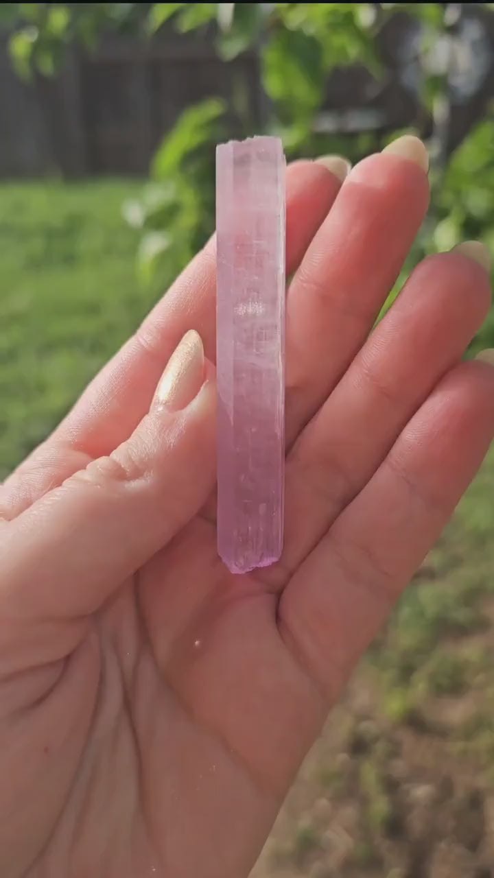 AAA Kunzite Crystal: Hot Pink Spodumene Specimen, Afghanistan