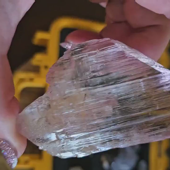 Museum Grade Bicolor Spodumene var. Kunzite Crystal