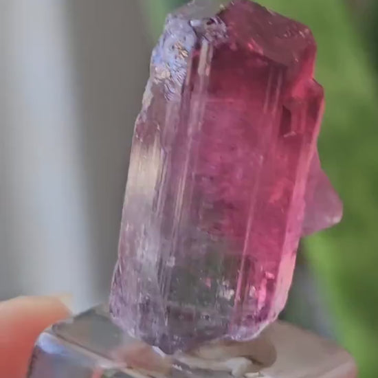 Lipstick Cruziero Tourmaline, Rare Lollipop Pocket Elbaite