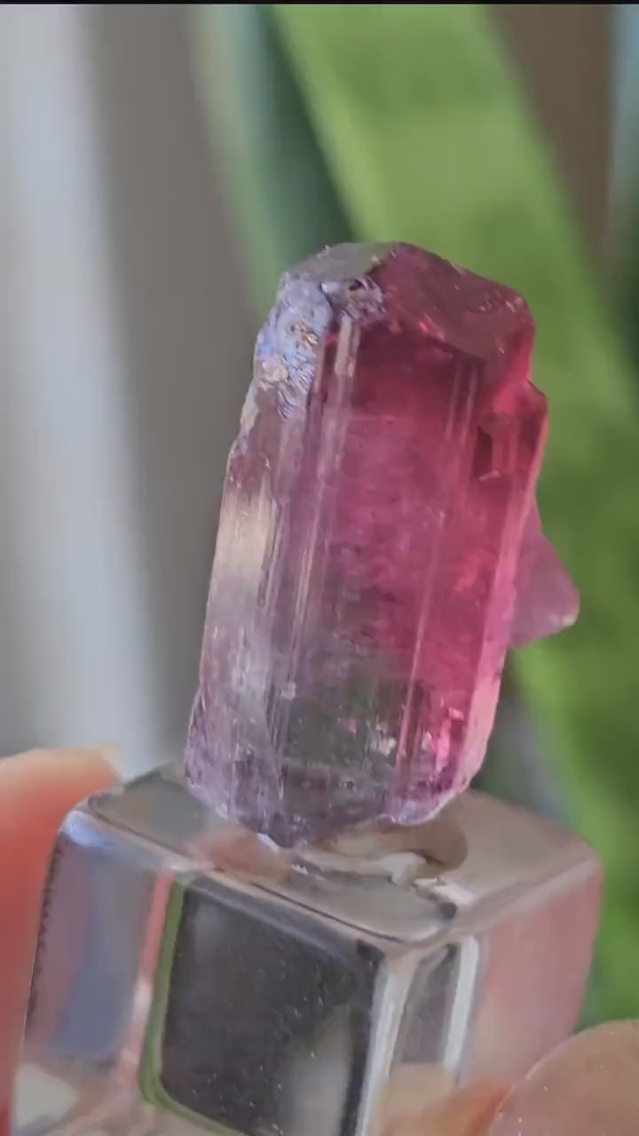 Lipstick Cruziero Tourmaline, Rare Lollipop Pocket Elbaite