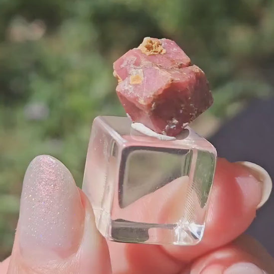 Rough Raspberry Garnet Floater from Sierra de Cruces Mexico <100