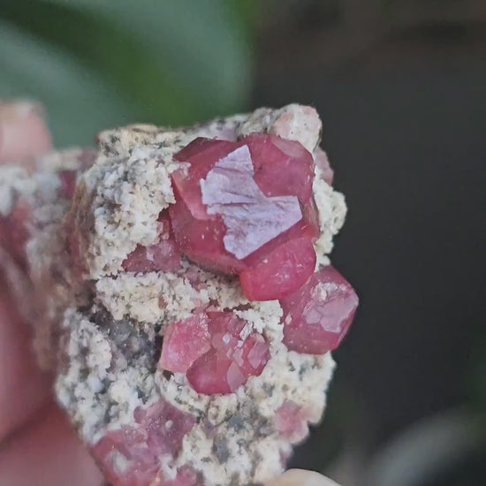 Raspberry Garnets on Matrix, High Quality Grossular, Natural Terminated Hot Pink Crystals on White Matrix, Ruby Color, Old Stock, Mexico