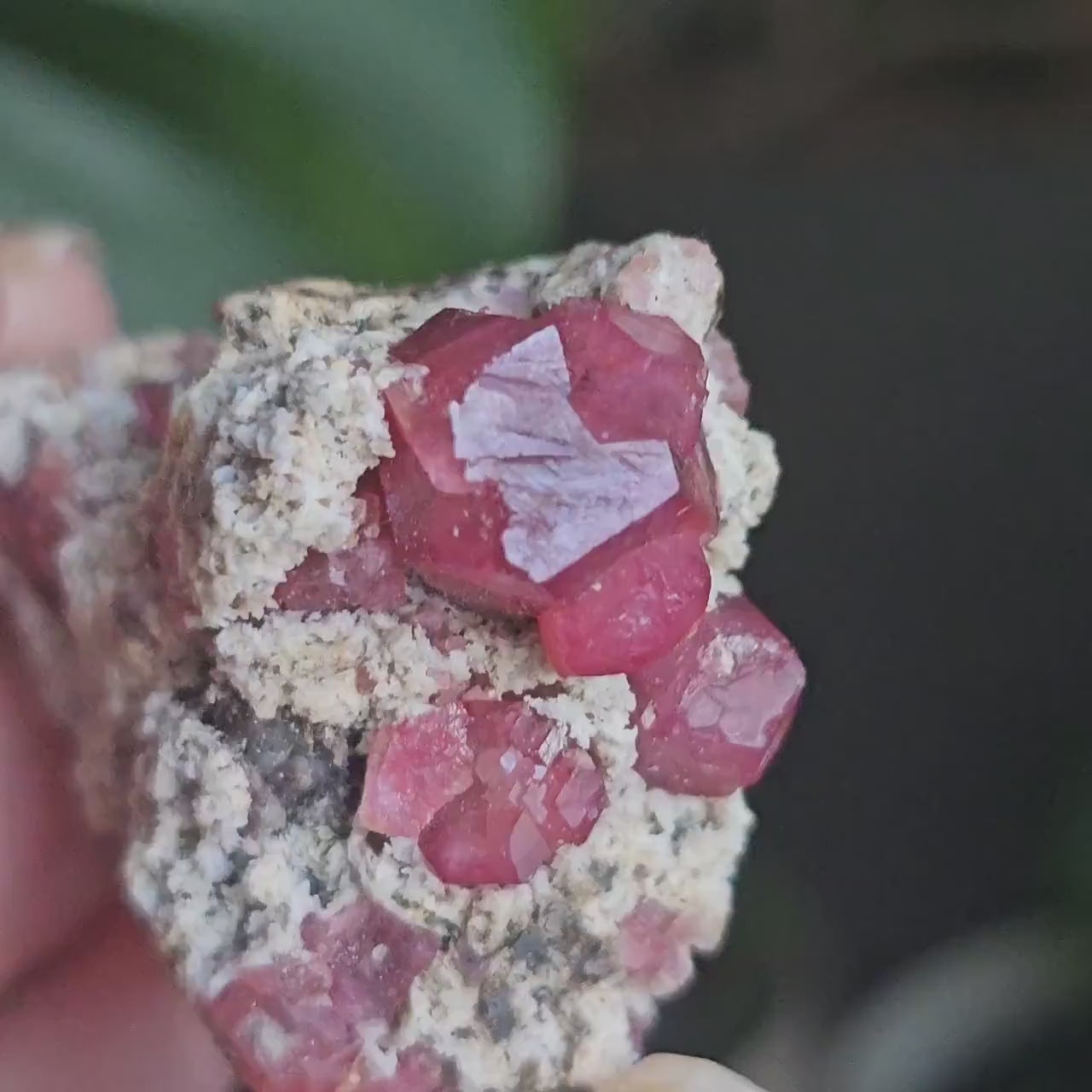 Raspberry Garnets on Matrix, High Quality Grossular, Natural Terminated Hot Pink Crystals on White Matrix, Ruby Color, Old Stock, Mexico